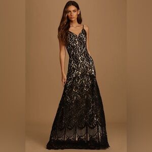 Lulu’s Flynn Lace Gown with Train (XL)